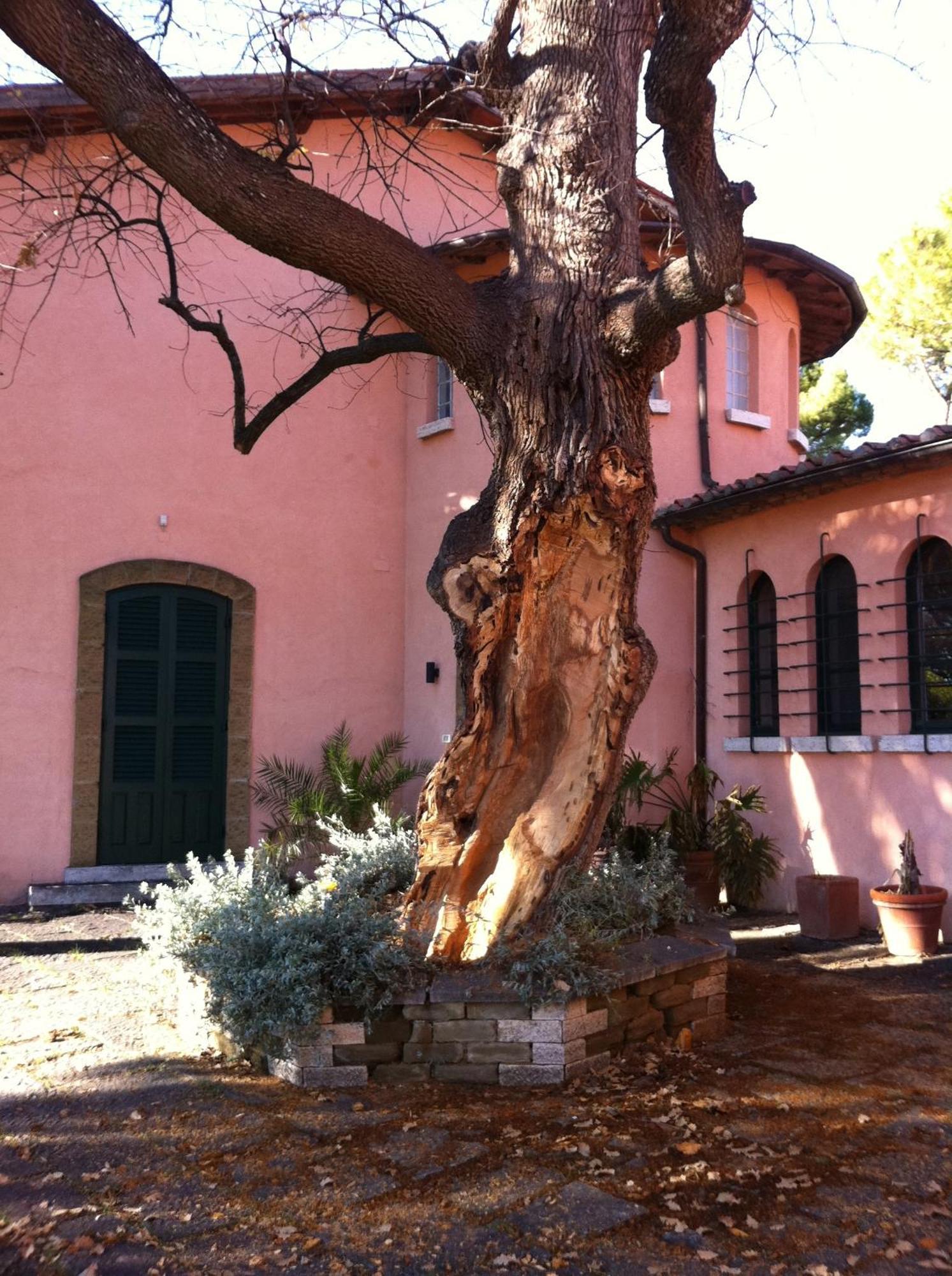 Villa Acquaviva Wine Resort Montemerano Exterior photo